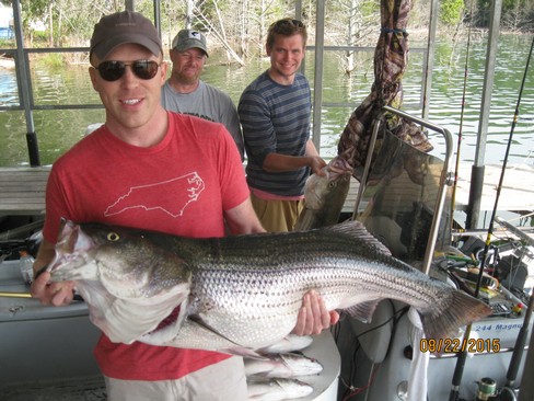 Nice Striped Bass